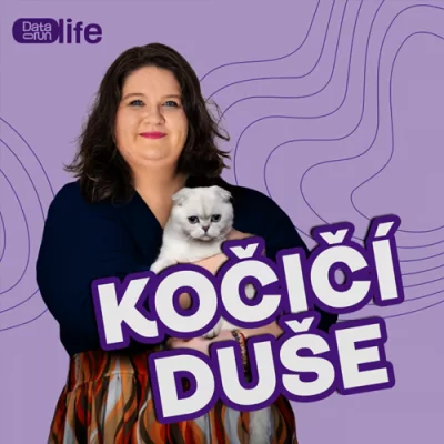 Kočičí duše